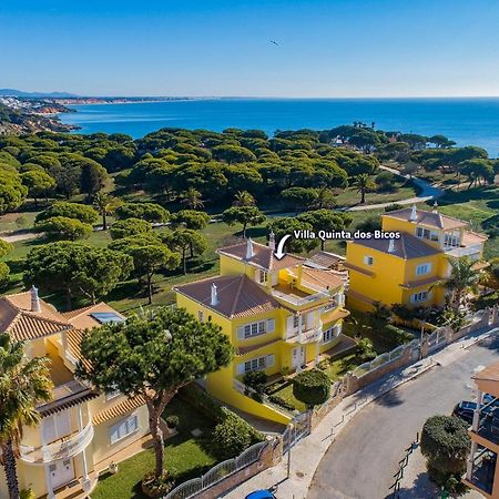 Villa Quinta Dos Bicos By Villa Plus Albufeira Exteriér fotografie
