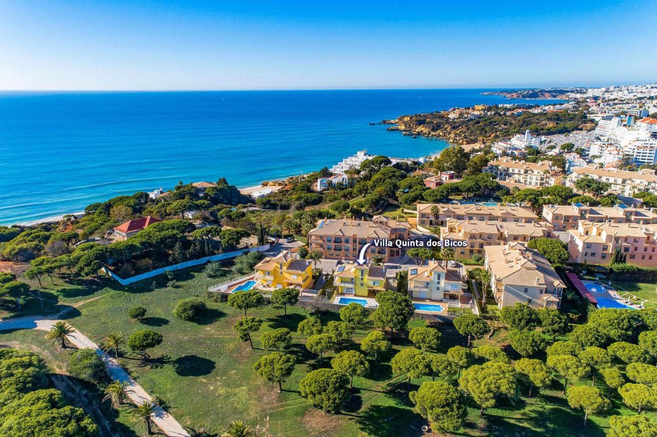 Villa Quinta Dos Bicos By Villa Plus Albufeira Exteriér fotografie