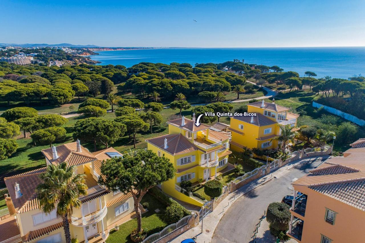 Villa Quinta Dos Bicos By Villa Plus Albufeira Exteriér fotografie